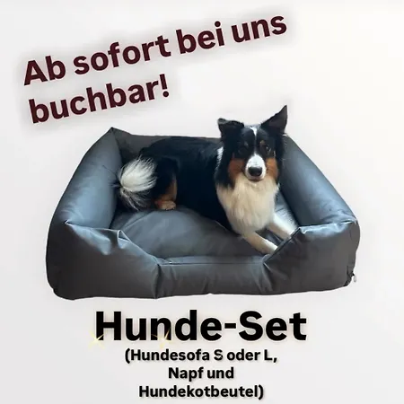 Little Blue #9 Appartement